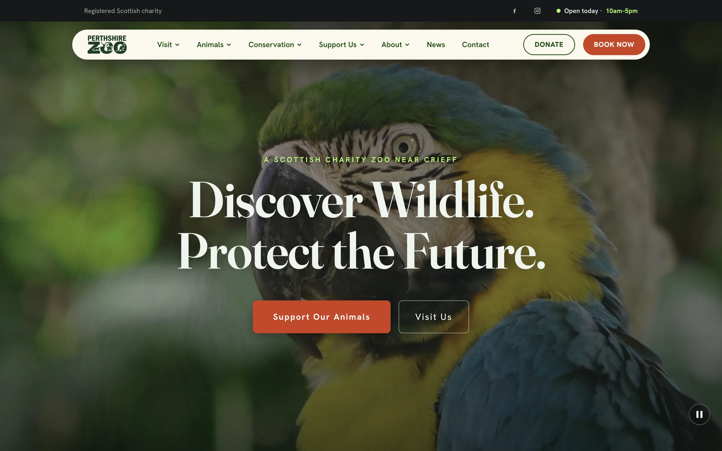 Perthshire Zoo’s website on a desktop: Discover Wildlife. Protect the Future., with Support Our Animals and Visit Us buttons, Donate and Book Now in the header, and menus for Visit, Animals, Conservation, Support Us, About, News and Contact.